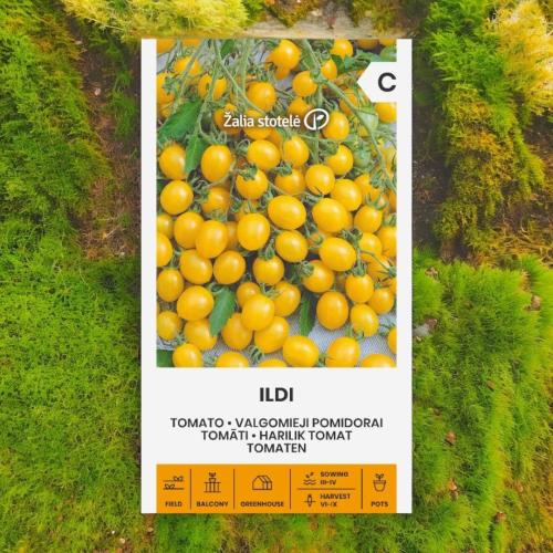 بذور طماطم كرزية صفراء ILDI