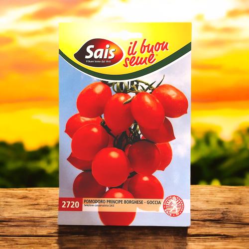 بذور طماطم الأمير بورغيزي الإيطالية