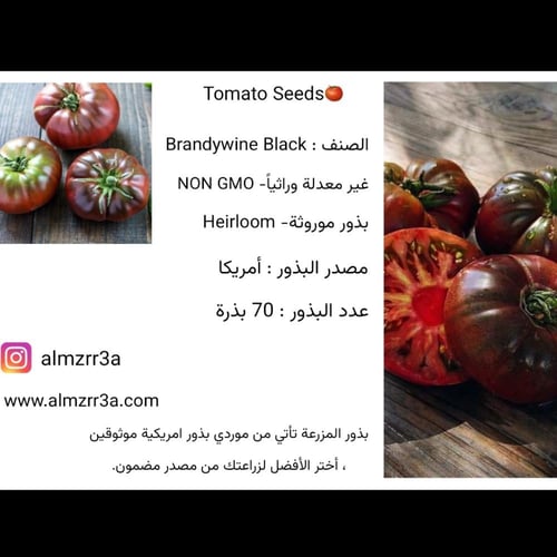 بذور طماطم Brandywine Black موروثة