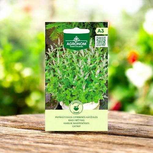 بذور نعناع القط ( كاتنيب ) Catnip