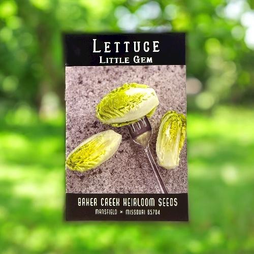 بذور خس الجوهرة الصغيرة