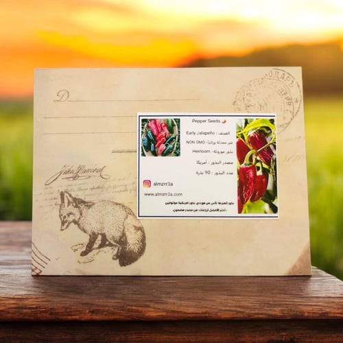 بذور فلفل Jalapeño Early هالبينو مبكر الحصاد