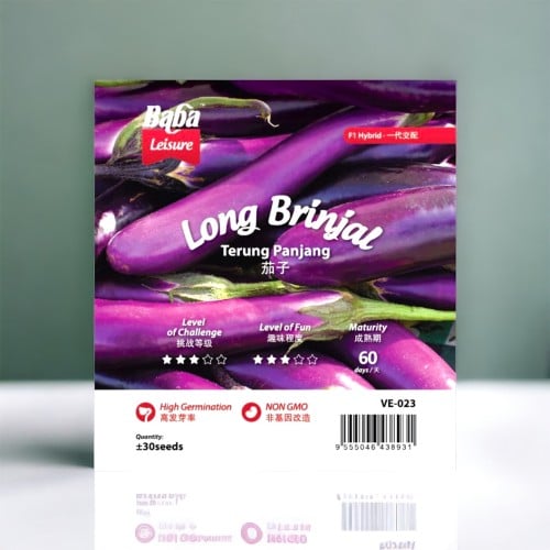 بذور باذنجان أرجواني طويل