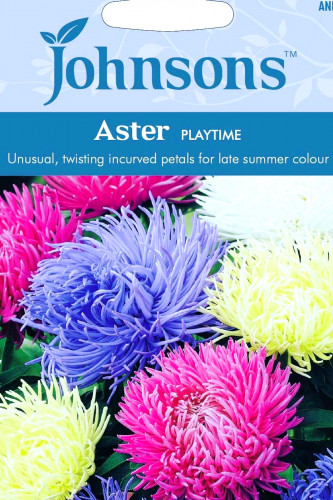 بذور زهرة أستر