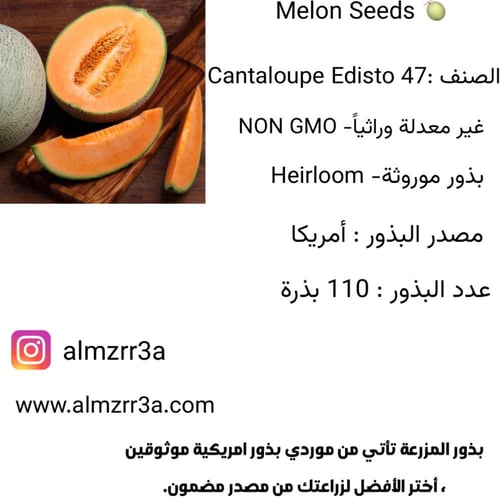 بذور شمام كنتالوب Edisto 47