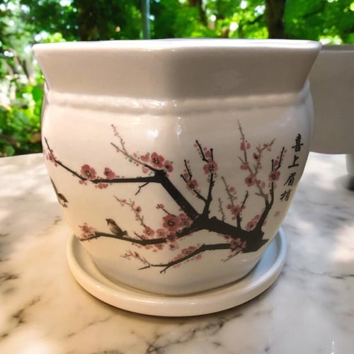 وعاء نباتات سيراميك