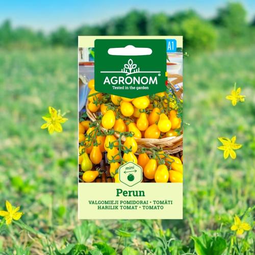 بذور طماطم كرزية ( كمثرية الشكل ) بيرون الصفراء