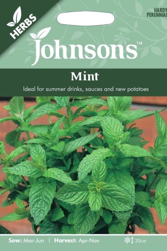 بذور نعناع Mint