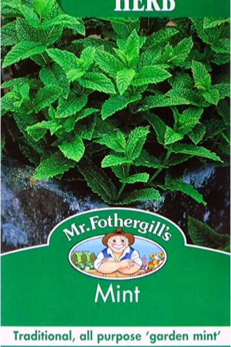 بذور النعناع fothergills