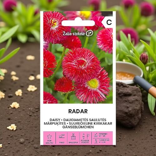 بذور زهرة الأقحوان الحمراء Daisy Radar