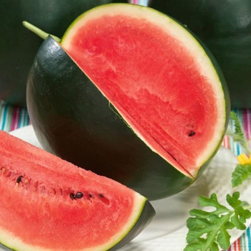 بذور بطيخ شوقر بيبي