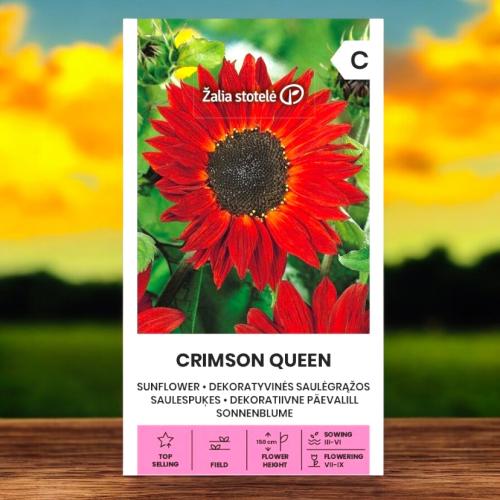 بذور دوار الشمس كريمسون كوين