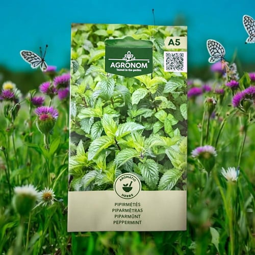 بذور نعناع Agronom Pepper mint