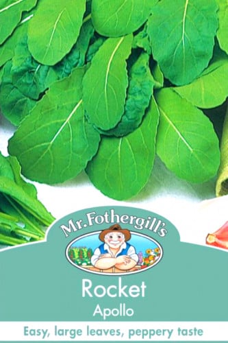 بذور جرجير أبولو