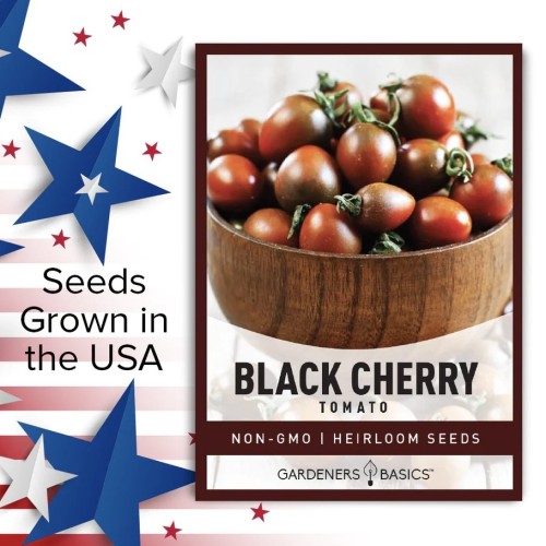 بذور طماطم كرزية سوداء