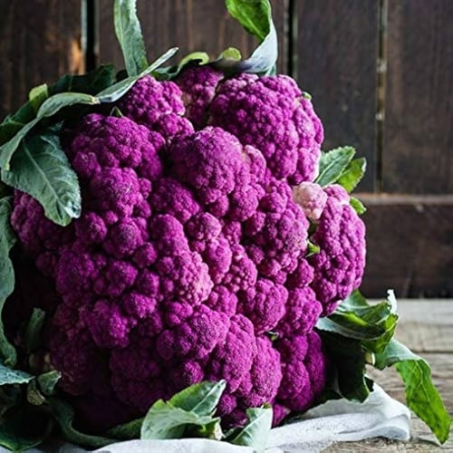 بذور قرنبيط صقلية البنفسجي