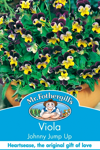 بذور زهرة ڤيولا ( البنفسج )
