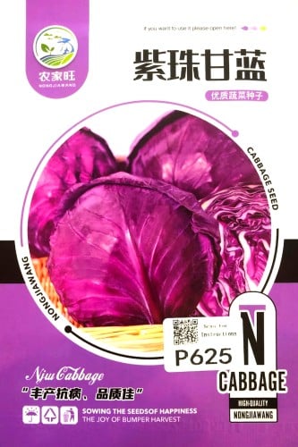 بذور الملفوف الأرجواني