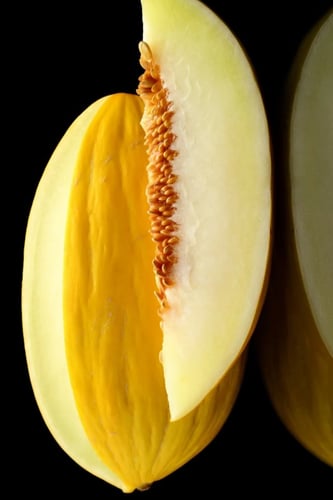 بذور شمام الكناري الاصفر