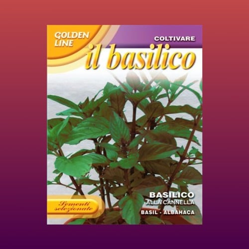 بذور ريحان القرفة