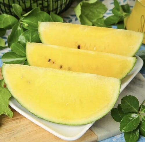 بذور بطيخ اصفر كريمسون
