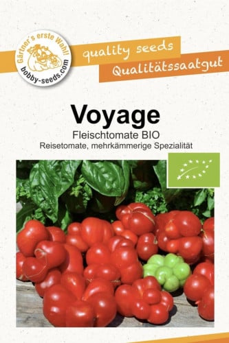بذور طماطم عضوية Voyage