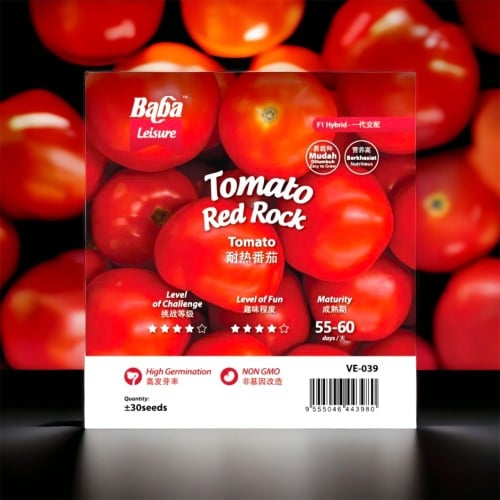 بذور طماطم الصخرة الحمراء