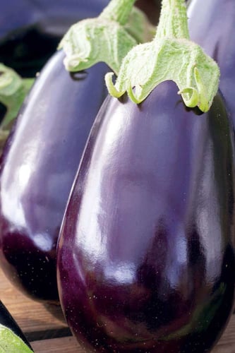 بذور باذنجان بلاك بيوتي