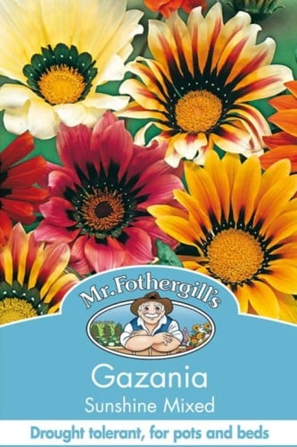 بذور أزهار جازانيا Mixed