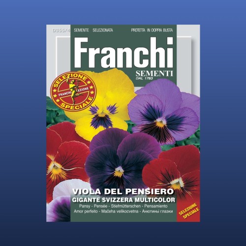 بذور أزهار بانسي السويسرية