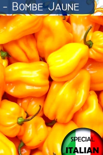 بذور فلفل (قنبلة جون)