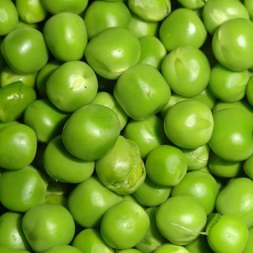 بذور بازلاء قزمية أليكسندرا