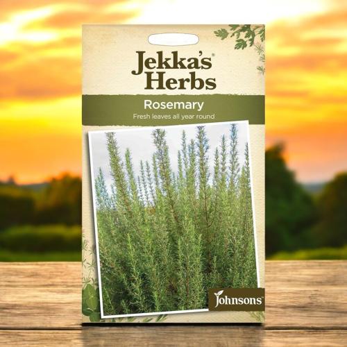 بذور إكليل الجبل ( روزماري ) Jekkas