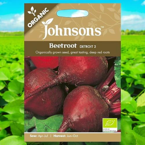 بذور شمندر ديترويت عضوي johnsons