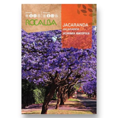 بذور شجرة الجاكرندا