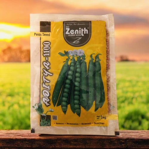 بذور بازلاء هجينة أديتيا 1100