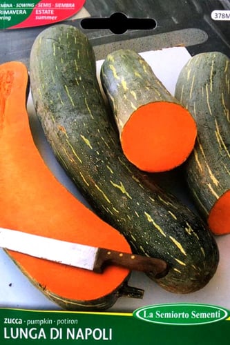 بذور قرع نابولي الطويل sementi