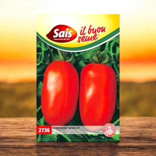 بذور طماطم روما Sais VF