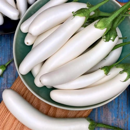 بذور باذنجان هجين طويل الفارس الأبيض F1