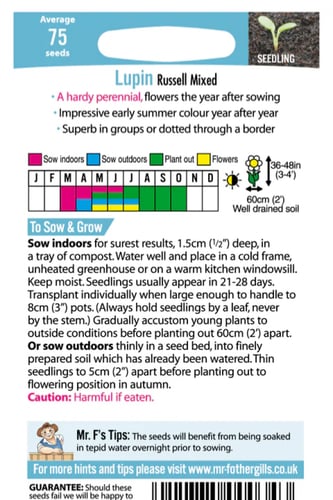 بذور أزهار لوبين خليط