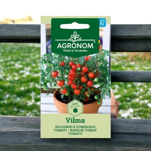 بذور طماطم كرزية قزمية ڤيلما