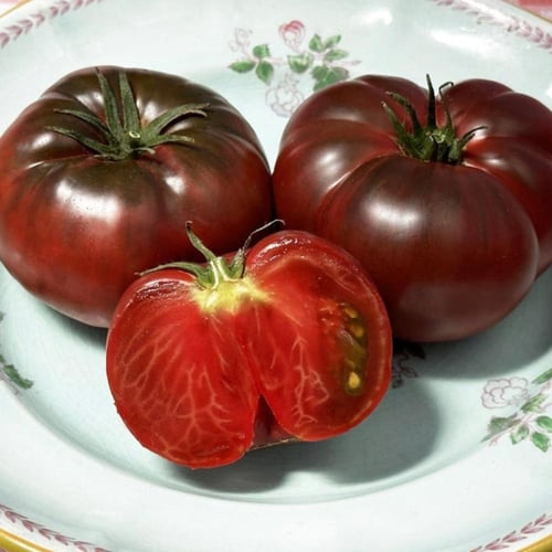 بذور طماطم Black Krim عضوية