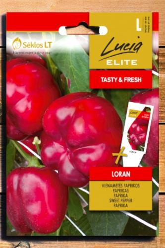 بذور فلفل أحمر حلو لوران