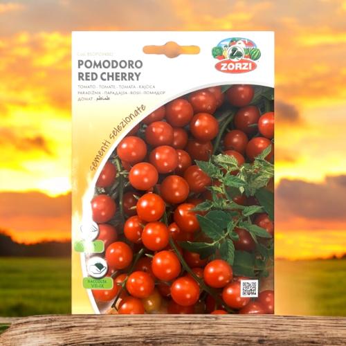بذور طماطم كرزية إيطالية zorzi