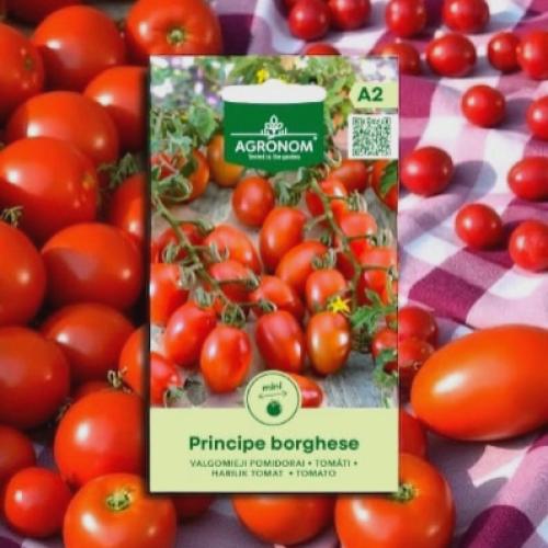 بذور طماطم برينس بورغيز الإيطالية