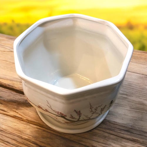 وعاء نباتات سيراميك