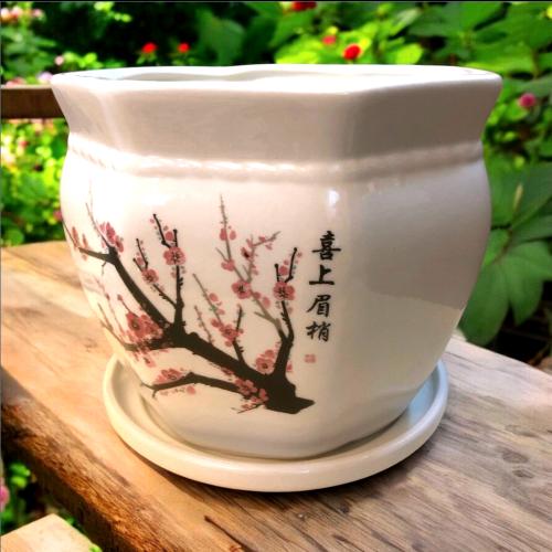 وعاء نباتات سيراميك