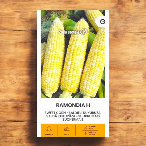 بذور ذرة سكرية هجين Ramondia H