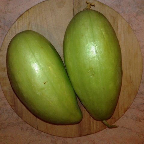 بذور خيار الكاروسيل النادر إرث إيطالي