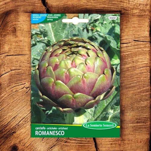 بذور خرشوف رمانسكو